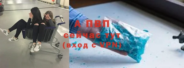 дмт Аркадак