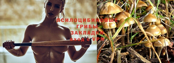 дмт Аркадак
