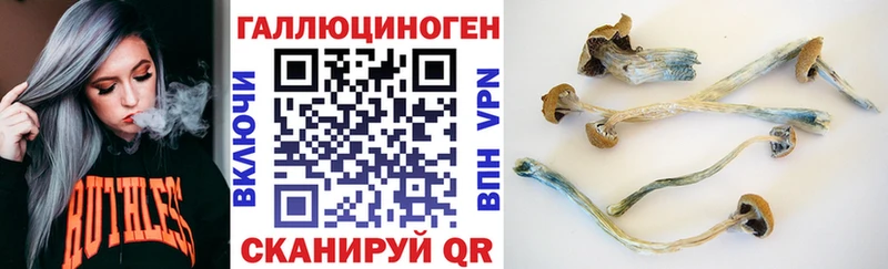 Псилоцибиновые грибы Cubensis  Купить где  Александровское 